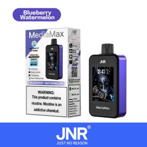 JNR Media Max 40000 Puffs-Blueberry Watermelon