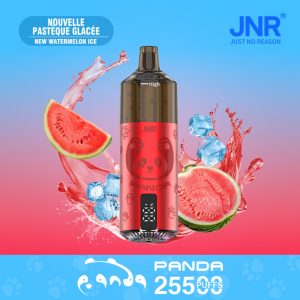 New-Watermelon-Ice
