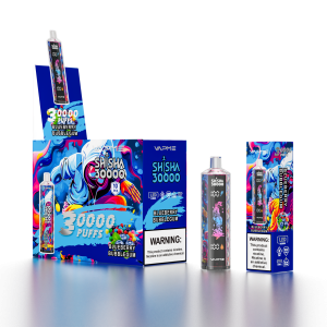 VAPME SHISHA 30000 Züge-Blueberry Bubblegum