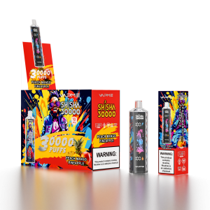 VAPME SHISHA 30000 Züge-Peach Mango Pineapple