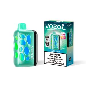 vozol RAVE 40k-Cool Mint