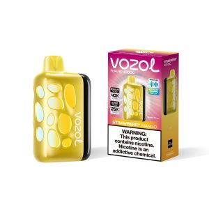 vozol RAVE 40k-Strawberry Mango