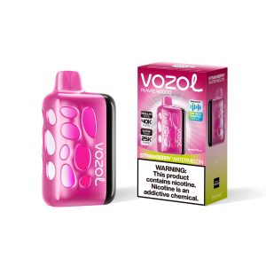 vozol RAVE 40k-Strawberry Watermelon