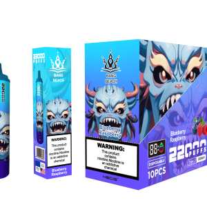 BANG BEACH 22000-blueberry raspberry