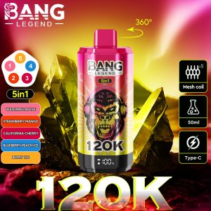 Bang 120000 Züge 5 in 1 Vape-Wassermelone Eis-Erdbeere Mango-Kalifornische Kirsche-Blaubeere Pfirsich Eis-Beeren Eis-Einweg Vape