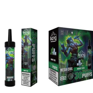 Bang 36000 puffs-mint ice