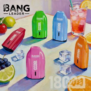 Bang Leader 18000 puffs