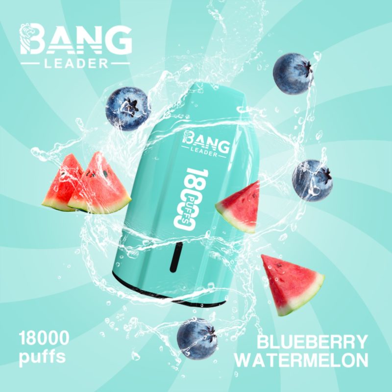 Bang Leader 18000 Züge-Blueberry Watermelon