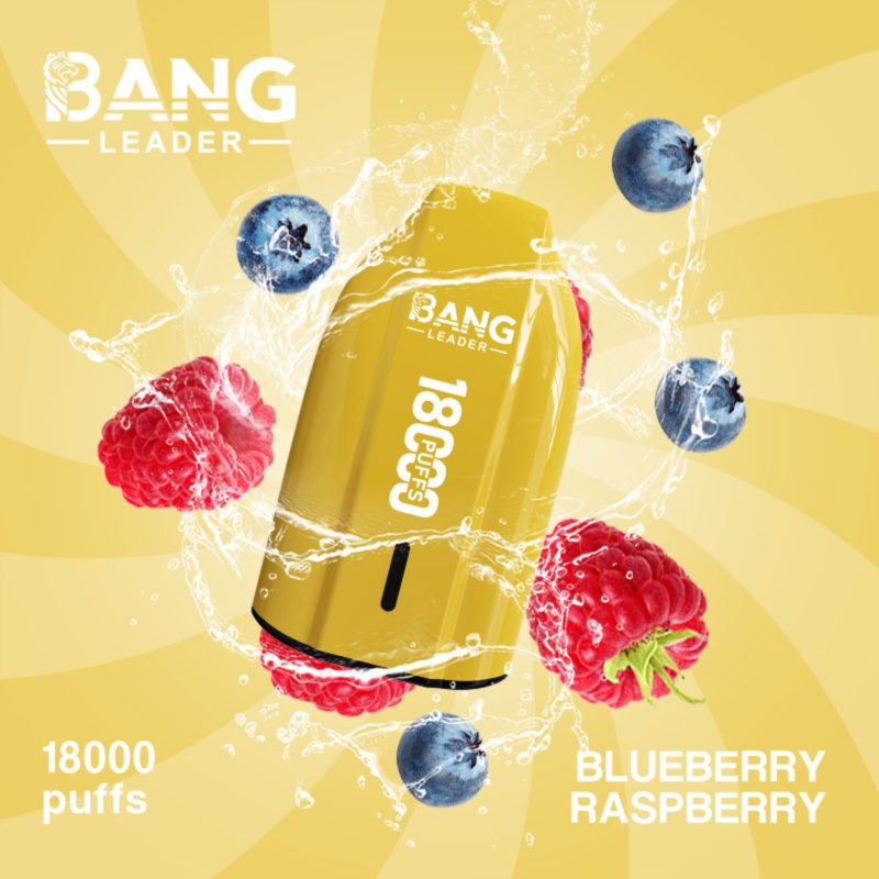 Bang Leader 18000 Züge-Blueberry Raspberry