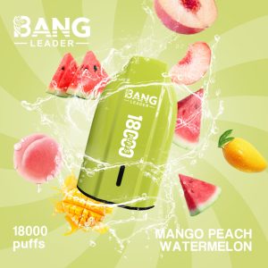 Bang Leader 18000 Züge-Mango Peach Watermelon