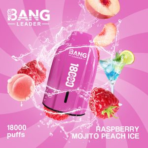Bang Leader 18000 Züge-Raspberry Mojito Peach Ice