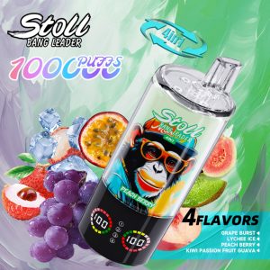 Bang Leader Stoll 100k 4in1-Traubenburst Litschi Eis Pfirsich Beere Kiwifrucht Passionsfrucht Guave