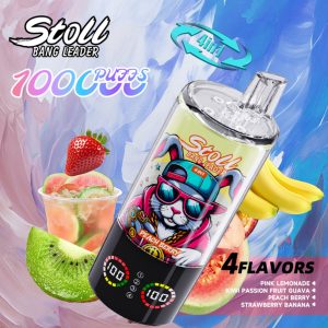 Bang Leader Stoll 100k 4in1-Pink Lemonade Kiwi Passion Fruit Guava Peach Berry Stravvberry Banana