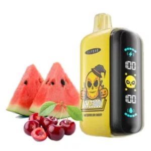 ELF BAR GH 23000 puffs-Watermelon Cherry