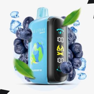 Elf Bar Raya D3 25000 puffs-Blueberry Ice