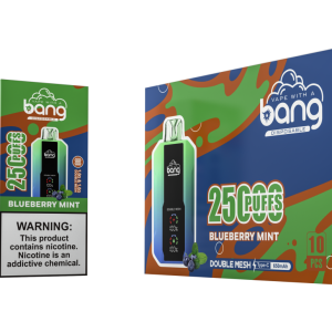 bang 25000 puffs-Blueberry Mint