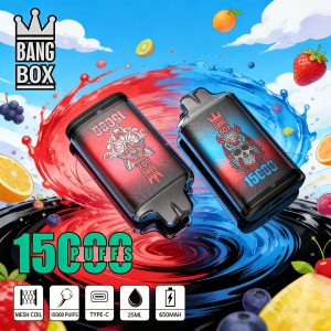 bang box 15000 puffs
