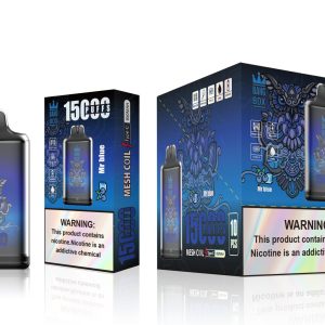 bang box 15000 puffs- Mr blue