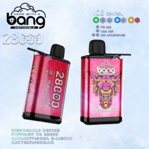 Bang 28000 Puffs Ice Control-Peach Ice