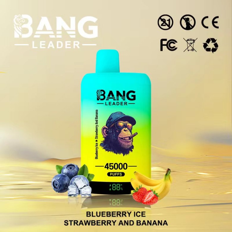 Bang Leader 45000 Puffs-Blueberry Ice & Strawberry and Banana