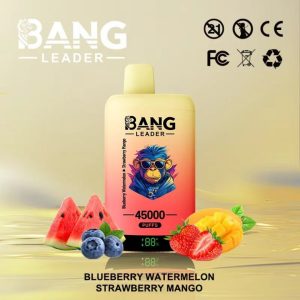 Bang Leader 45000 Puffs-Blueberry Watermelon & Strawberry Mango