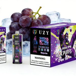 UZY SHISHA HOOKAH KING 120-Grape ice