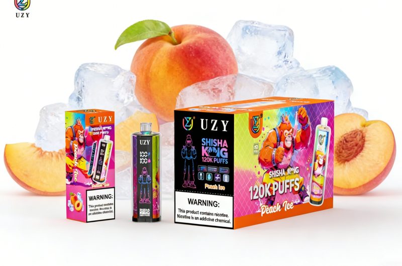 UZY SHISHA HOOKAH KING 120-Peach ice