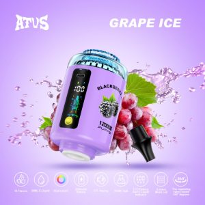 ATVS E-HOOKAH 120K puff-GRAPE ICE ATVS E-HOOKAH 120K puff-GRAPE ICE