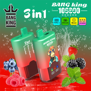 BANG KING 100K PUFF 3in1-blueberry mint & blueberry raspberry & triple mold