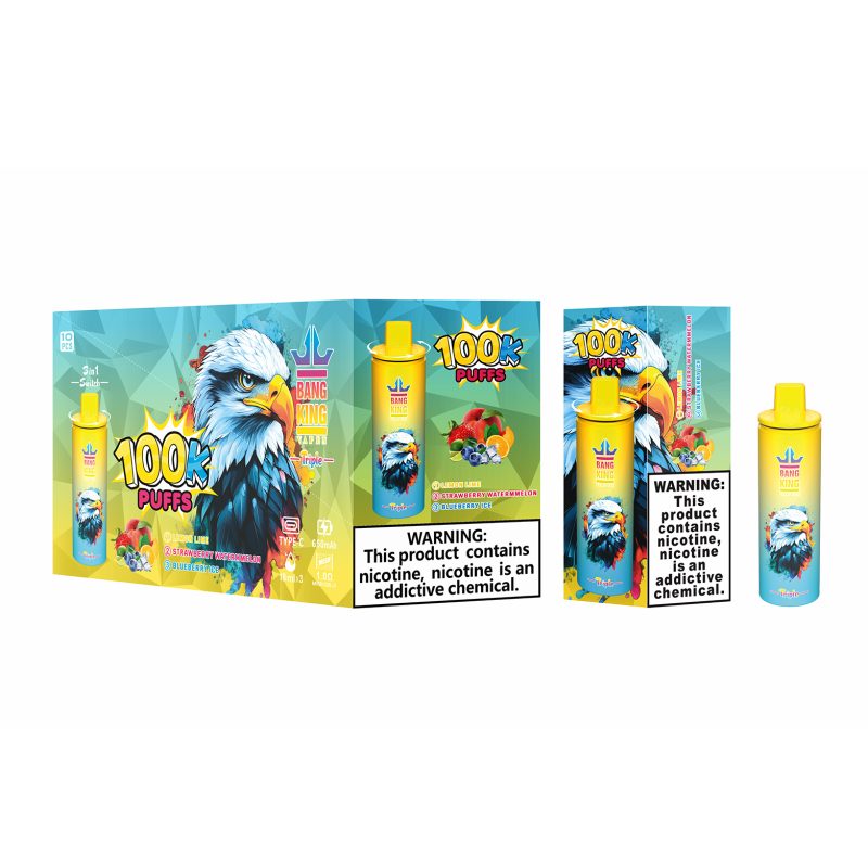BANG KING 100k PUFFS-lemon limestrawberry watermelonblueberry ice