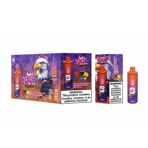 BANG KING 100k PUFFS-strawberry vanilla cokeblueberry raspberrylemonlime