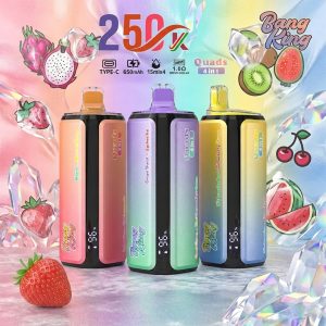 BANG KING 250K puffs 4in1 BANG KING 250K puffs 4in1