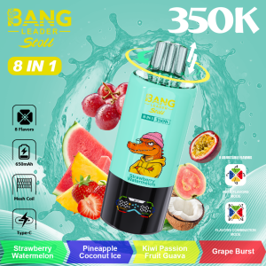 BANG LEADER 350K-06 BANG LEADER 350K-06