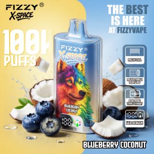 Fizzy X-SPACE 100K-Blueberry Coconut