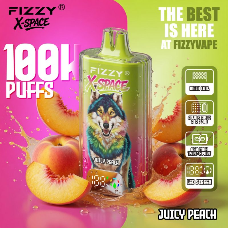 Fizzy X-SPACE 100K-Juicy Peach