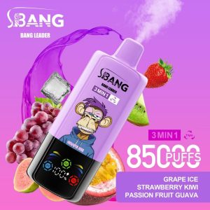 Grape Ice➕Strawberry Kiwi➕Passion Fruit Guava