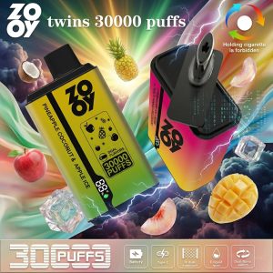 ZOOY twins 30000 puffs