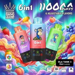 bang leader 110K 6 in 1