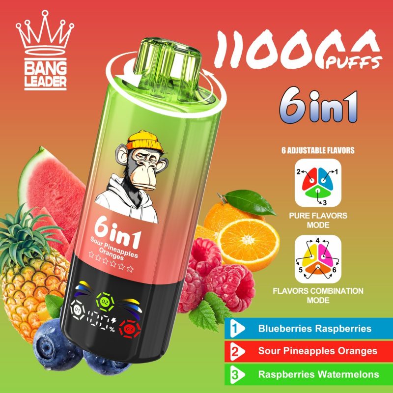 bang leader 110K 6 in 1 A