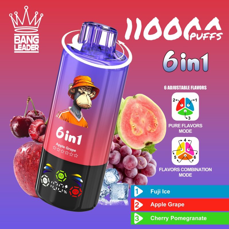 bang leader 110K 6 in 1 C