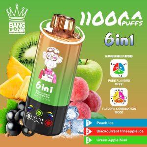 bang leader 110K 6 in 1 F