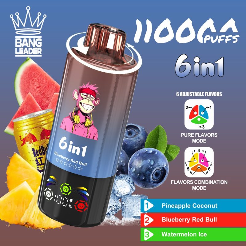 bang leader 110K 6 in 1 G