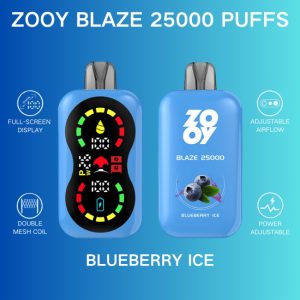 zooy blaze 25000-Blueberry Ice