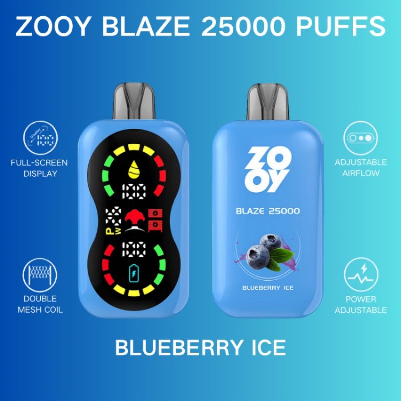 zooy blaze 25000-Blueberry Ice