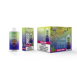 Bang leader 20K puffs-BLUEBERRY MINT Bang leader 20K puffs-BLUEBERRY MINT