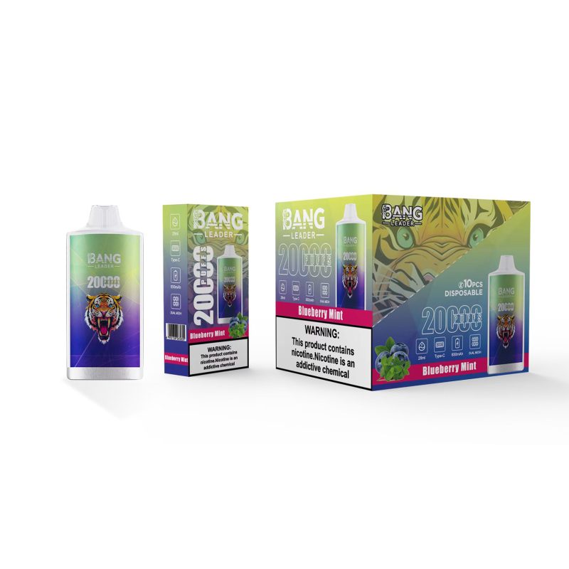 Bang leader 20K puffs-BLUEBERRY MINT Bang leader 20K puffs-BLUEBERRY MINT