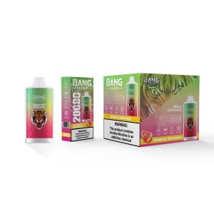 Bang leader 20K puffs-STRAWBERRY WATERMELON Bang leader 20K puffs-STRAWBERRY WATERMELON