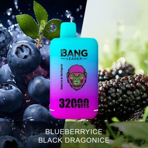 Bang leader 32K puffs-BLUEBERRY ICE & BLACK DRAGON ICE Bang leader 32K puffs-BLUEBERRY ICE & BLACK DRAGON ICE