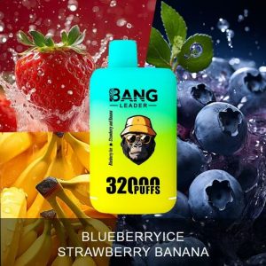 Bang leader 32K puffs-BLUEBERRY ICE & STRAWBERRY BANANA Bang leader 32K puffs-BLUEBERRY ICE & STRAWBERRY BANANA