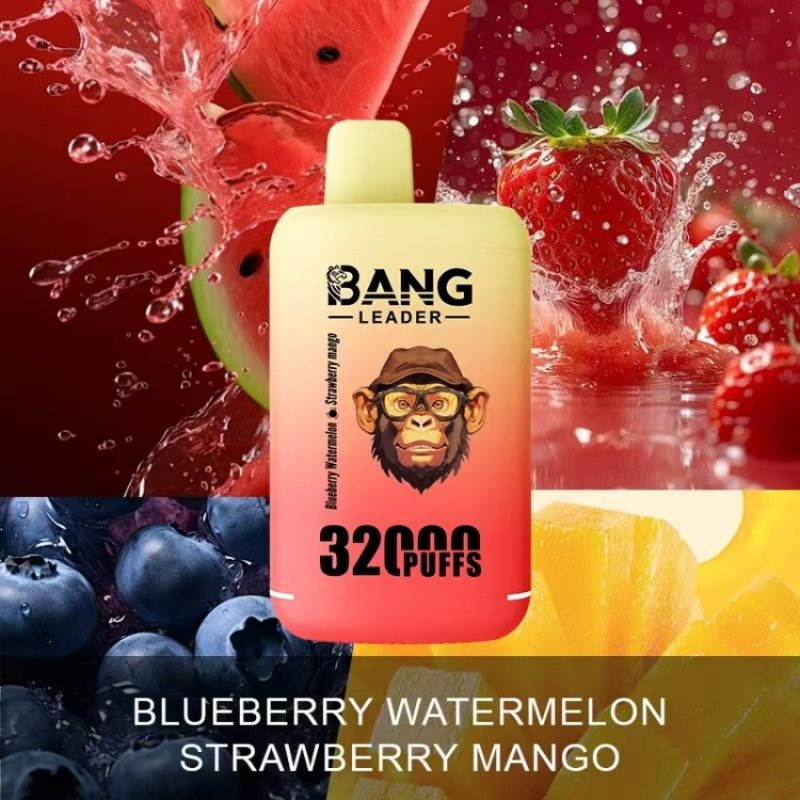 Bang leader 32K puffs-BLUEBERRY WATERMELON & STRAWBERRY MANGO Bang leader 32K puffs-BLUEBERRY WATERMELON & STRAWBERRY MANGO
